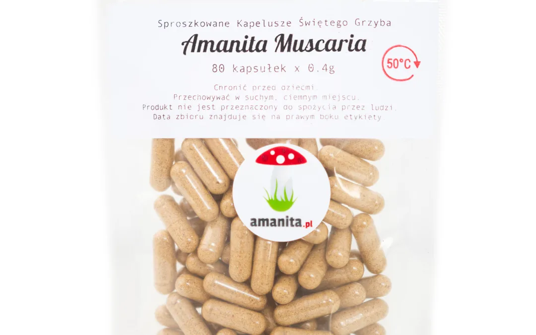 Amanita Muscaria – Muchomor Czerwony – Kapsułki 80 x 0,4g